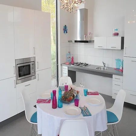 Modern With A Fireplace In A * Noord-Scharwoude
